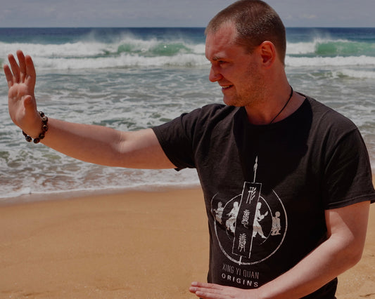 Xingyi Origins T-shirt
