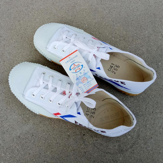 Classic Feiyue training shoes